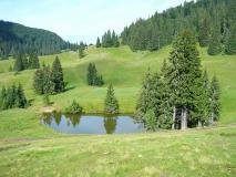 050722_10padis